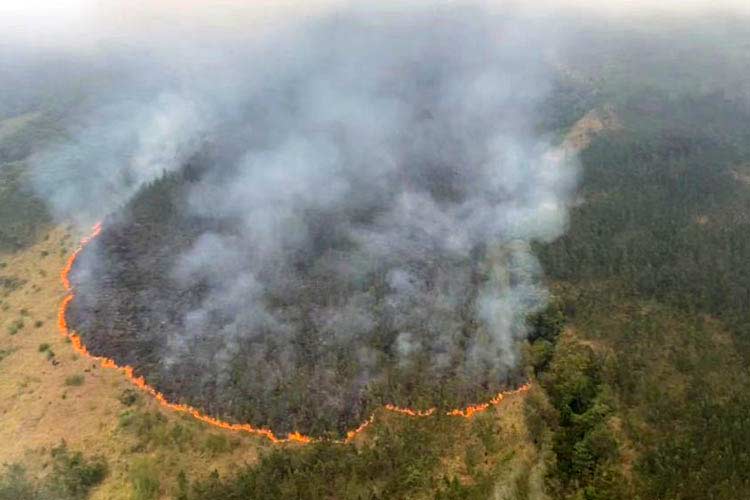 Karhutla Gunung Arjuno - Welirang pada Oktober 2023 lalu. (Dok. Instagram Khofifah Indar Parawansa)