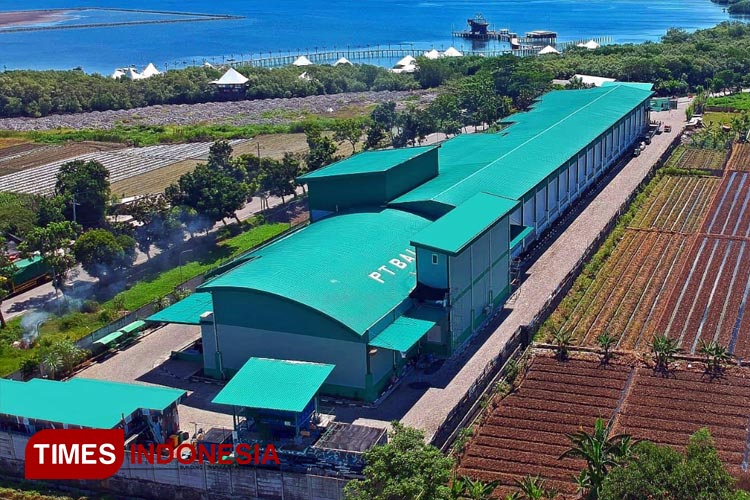 PT-Berkah-Aneka-Laut.jpg