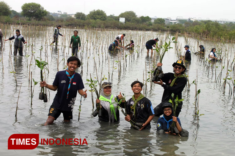 Mahasiswa ITS yang tergabung dalam organisasi PLH Siklus melakukan tanam mangrove di Gunung Anyar Surabaya, Selasa (9/1/2024).(Foto : Hamida Soetadji/MG-TIMES Indonesia)