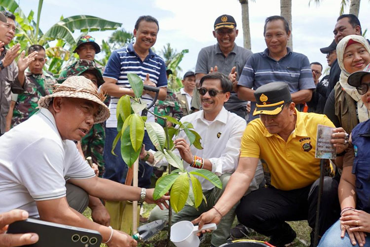 Upaya Nyata Jaga Lingkungan, Sekda Dewa Indra Hadiri Penanaman Pohon Serentak Bersama KLHK RI di Blimbingsari. (Foto: Humas Pemprov Bali) 