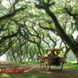 Ini 4 Destinasi Wisata Banyuwangi Paling Favorit di Pertengahan Tahun 2025
