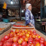 Harga Tomat Melonjak, Pedagang di Probolinggo Keluhkan Kenaikan