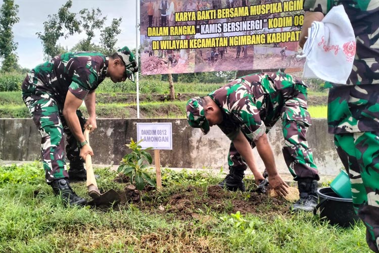Komandan Kodim 0812/Lamongan Letkol Arm Ketut Wira Purbawan saat menanam pohon di Desa Ngimbang, Kabupaten Lamongan. (Foto : Pendim 0812 for Times Indonesia)