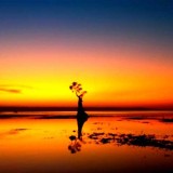 Pesona Alam Sumba Timur: Hipnotis Sunset Pantai Walakiri