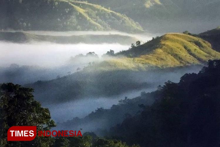 Pemandangan alam di Taman Nasional Matalawa Sumba. (FOTO: KSDAE TN Matalawafor TIMES Indonesia)