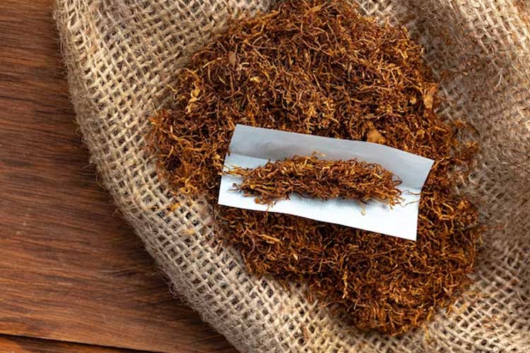 WHO: Indonesia Termasuk Negara dengan Peningkatan Penggunaan Tembakau -  TIMES Indonesia