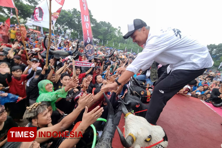 Capres Ganjar Pranowo saat disambut meriah oleh 1.000 bantengan di Malang. (Foto: PDI Perjuangan/TIMES Indonesia)