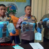 Pengedar Ganja 30 Paket Siap Edar Dicokok Polisi di Pandeglang