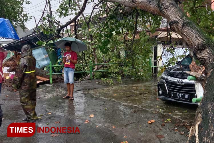 Pohon Tumbang Menimpa Mobil yang Sedang Parkir Menyebabkan Kaca Depan Mobil Rusak. (FOTO : Rohmadi/TIMES Indonesia)