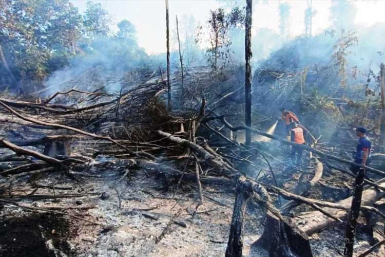 Arsip - Petugas sedang memadamkan karhutla di Kelurahan Lawe-Lawe, Kabupaten Penajam Paser Utara (PPU), Kaltim pada 31 Juli 2023. (Antara/HO Pusdalops BPBD Kabupaten PPU)