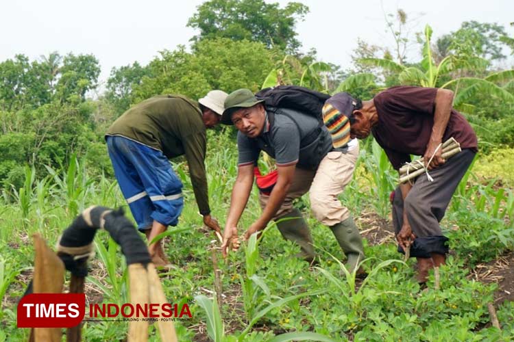 Pelaksanaan penanaman pohon di Desa Ranu Wurung Kecamatan Gading, Kabupaten Probolinggo. (Foto: Abdul Jalil/TIMES Indonesia)