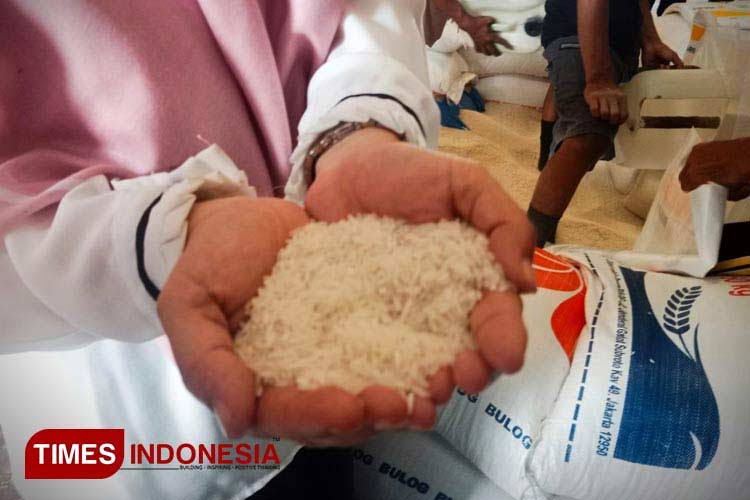 Ilustrasi bantuan pangan pemerintah berupa beras 10 kilogram (FOTO: Dokumen TIMES Indonesia) 