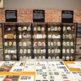 The Bone Museum: Menguak Misteri Osteologi di Brooklyn