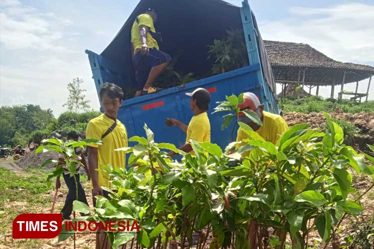 Jaga Kelestarian Lingkungan, Pemerhati Pertanian Arnanto Nurprabowo Bagikan Bibit Gratis