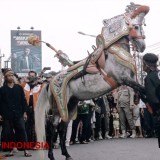 Kuda Renggong, The Authentic Legacy of Majalengka West Java