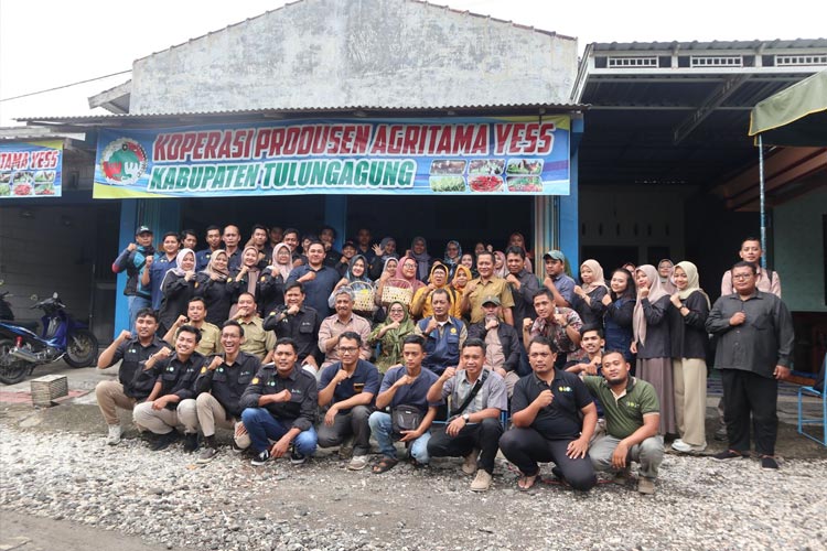 Para petani muda di Tulungagung saat kunjungan BPPSDMP Kementan dan Polbangtan Malang, Selasa (6/2/2024).