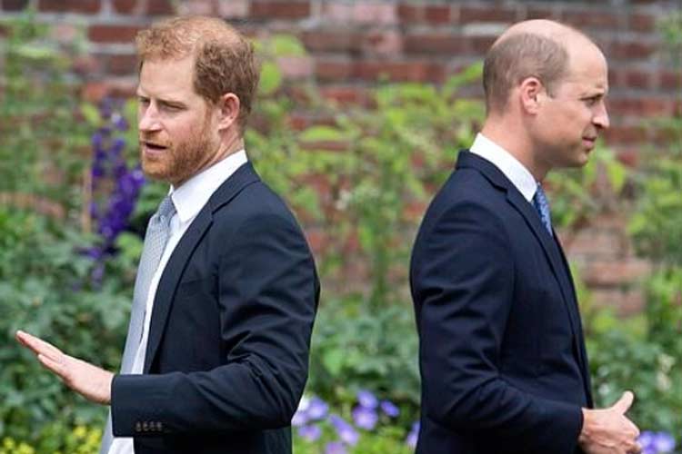 Pangeran Harry (kiri) dan Pangeran William (kanan), yang masih belum bisa akur. (FOTO: Daily Mail)