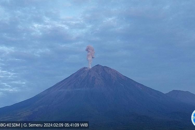 Gunung Semeru kembali erupsi pada Jumat (9/2/2024) pukul 05.39 WIB dengan tinggi letusan teramati sekitar 1.000 meter di atas puncak. (Foto: PVMBG)