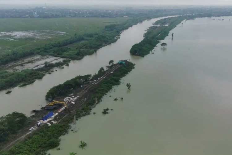 Banjir Demak, Kementerian PUPR RI: Perbaikan Tanggul Sungai Wulan Dimulai