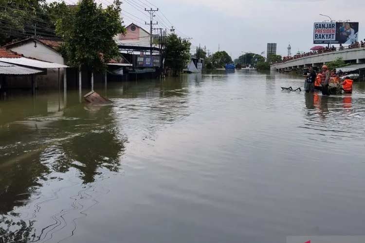 Banjir di Kabupaten Demak Mulai Surut, Upaya Pemulihan Terus Dilakukan