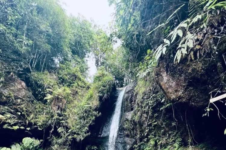 The Cunca Plias waterfall at Wae Lolos Tourism Village. (Photo: ANTARA/HO-Dokumentasi Pokdarwis Cunca Plias)