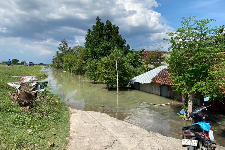 Banjir di wilayah Kabupaten Demak, Jawa Tengah. (FOTO: BNPB)