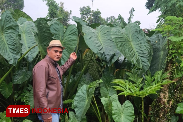 Kopi-Raja-Merem-Wisata-2.jpg