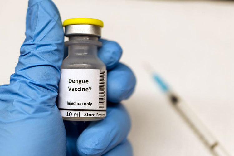 Cegah Demam Berdarah dengan Vaksin Dengue, Ini Aturannya