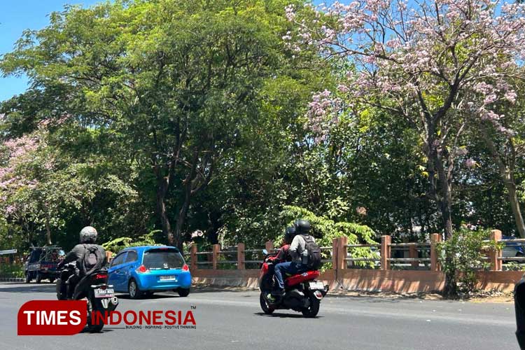 Jalan protokol di Kota Surabaya saat siang hari. (Foto: Lely Yuana/TIMES Indonesia)