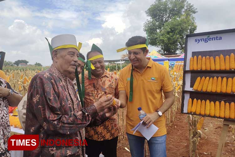 Jagung-Bioteknologi-2.jpg