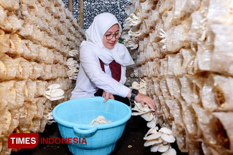 Bupati Banyuwangi, Ipuk Fiestiandani, saat mengunjungi salah satu rumah produksi di Kampung Jamur. (FOTO: Laila Yasmin/TIMES Indonesia)