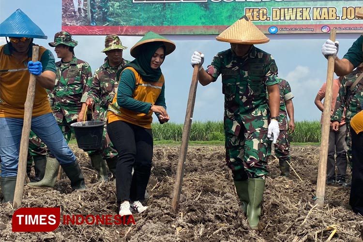 Dandim 0814 Jombang, Letkol Kav Devid Eko Junanto bersama istri menanam jagung di lahan tidur milik TNI AD di Koramil 0814/02 Diwek, Jombang, Minggu (3/2/2024). (FOTO: Rohmadi/TIMES Indonesia)