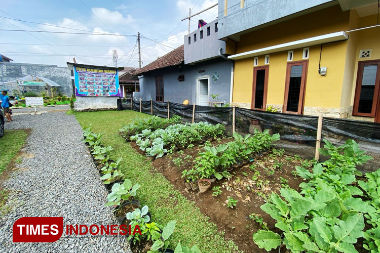 Taman-dan-lahan-kosong-3.jpg