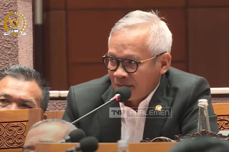 Luluk Nur Hamidah (FOTO: Tangkapan Youtube @DPR RI)