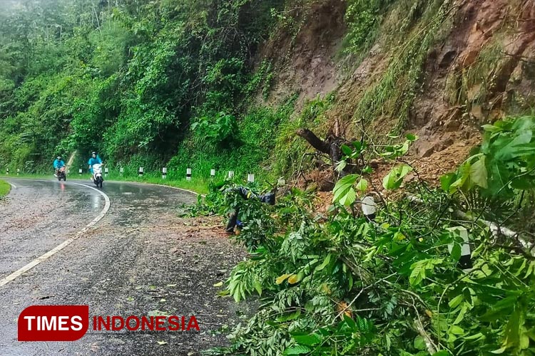 Banjir dan Longsor Terjang Pacitan, 22 Rumah Terendam