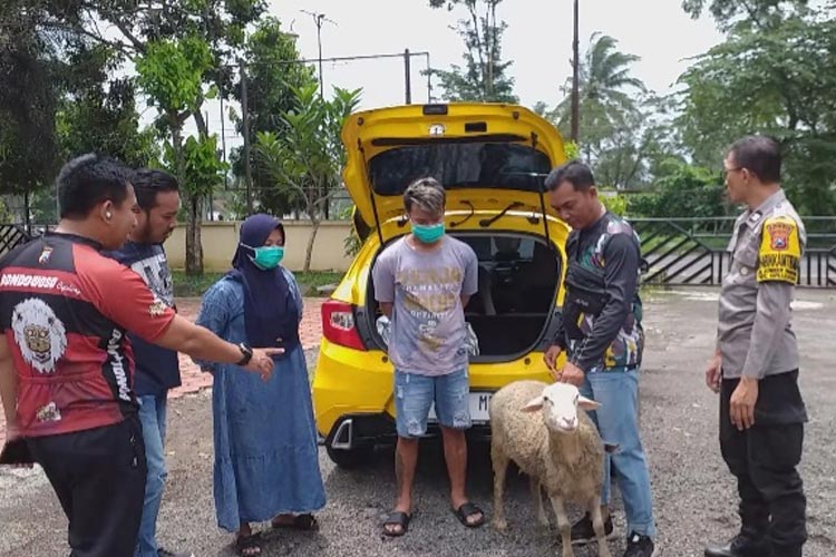 Sepasang suami istri saat diamankan karena mencuri kambing berikut juga barang bukti berupa Honda Brio yang digunakan pelaku. (FOTO: Oky for TIMES Indonesia)