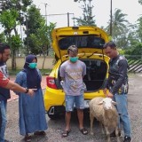 Penjual Sate di Bondowoso Curi Kambing Menggunakan Honda Brio