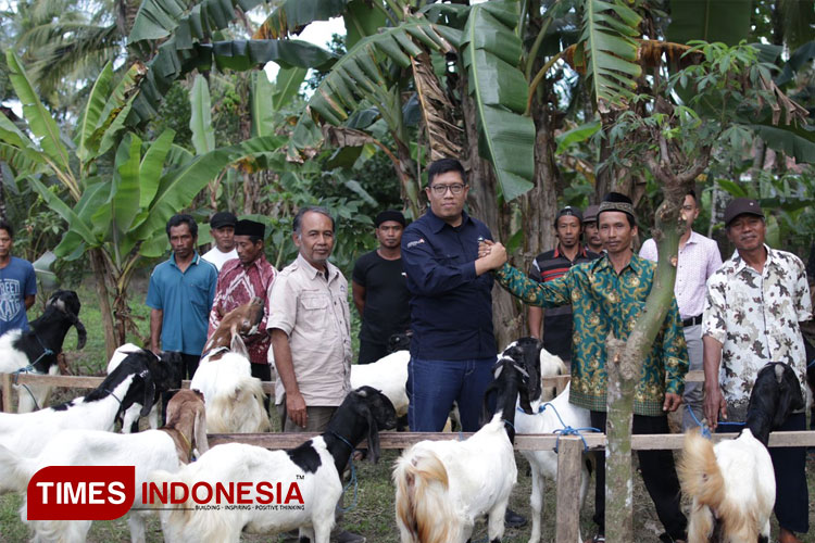 Penyerahan bantuan kambing oleh PT Bumi Suksesindo kepada kelompok tani di wilayah Kecamatan Pesanggaran. (FOTO: Syamsul Arifin/TIMES Indonesia)
