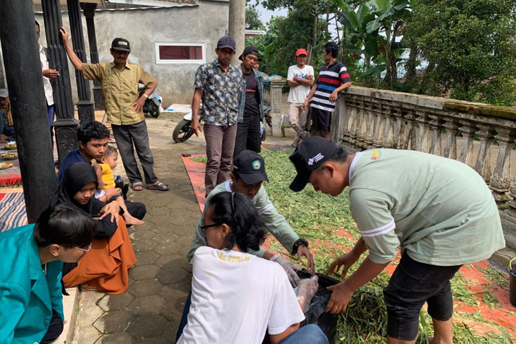 Mahasiswa KSM-T Unisma Malang memberikan edukasi pelatihan pembuatan silase kepada peternak dusun Lemahbang. (FOTO: AJP TIMES Indonesia)