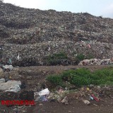Pemkot Probolinggo Bidik Adipura 2024 dengan Fokus Penanganan Sampah