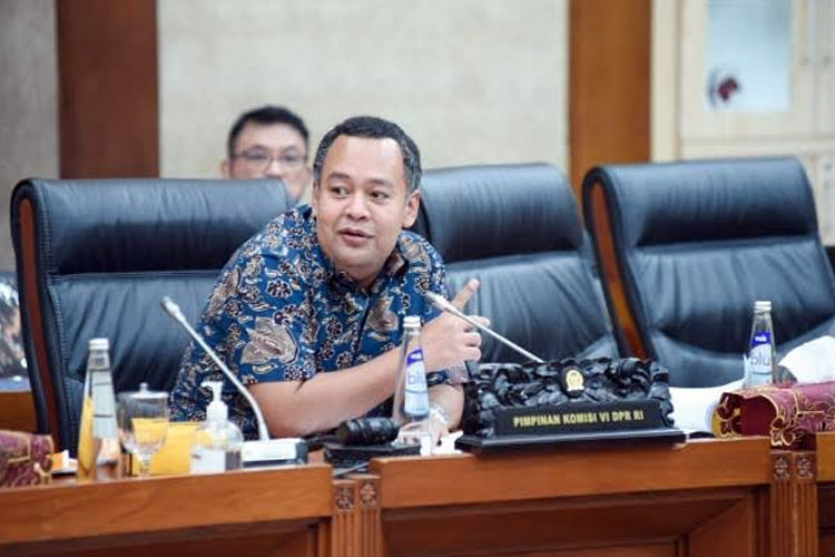 Wakil Ketua Komisi VI DPR Mohamad Hekal. (Foto: Dok: DPR)
