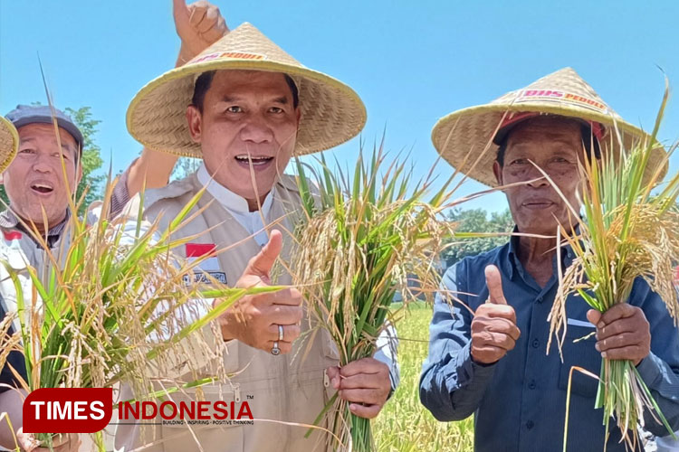 Bambang Haryo Soekartono saat menghadiri panen raya di Kabupaten Sidoarjo (FOTO: Rudi Mulya)