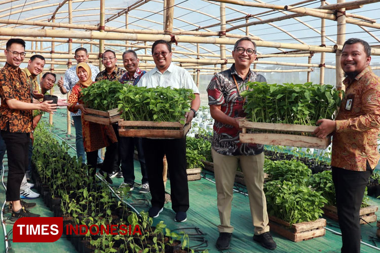 Green Tech, tempat riset pengembangan tanaman buah dan sayur di Gresik (Foto: Akmal/TIMES Indonesia).