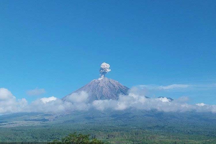 Gunung Semeru erupsi pada Sabtu (23/3/2024) pukul 08.07 WIB (Foto: PVMBG via Antara)