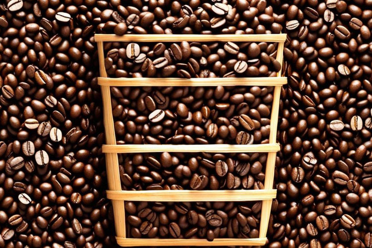 Illustration: Kopi Gayo coffee beans. (Photo: AI Academy)