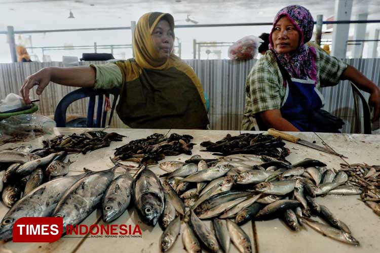 Lapak Ikan di Pacitan Sepi Pembeli, Pedagang Gigit Jari