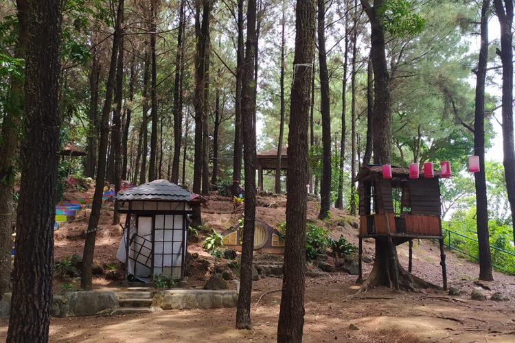 Wisata Alam Talaga Pancar, Buper di Tengah Hutan Pinus Majalengka