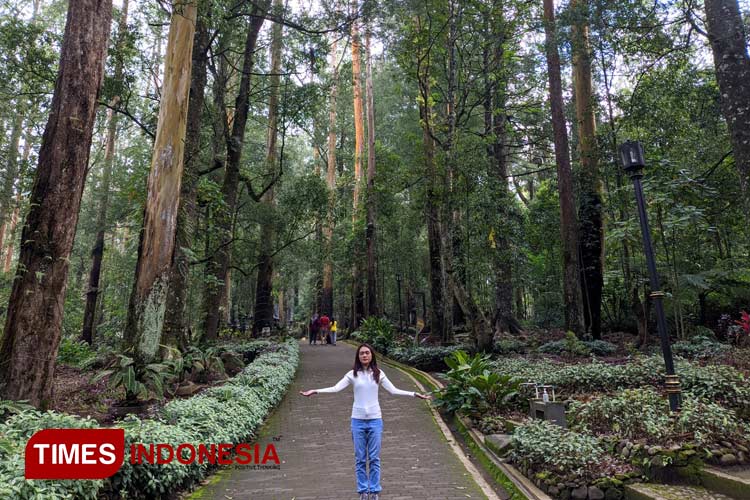  Salah seorang pengunjung sedang menikmati suasana di Mojosemi Forest Park Magetan. (Foto: Aditya Candra/TIMES Indonesia)
