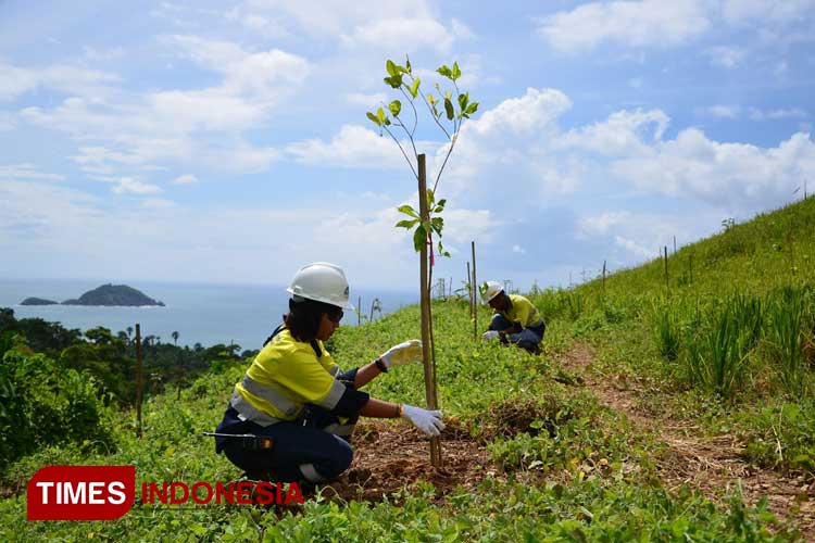 Kegiatan PT Bumi Suksesindo (PT BSI), dalam menjaga tumbuhan dan satwa dikawasan reklamasi. (Foto: Dokumentasi TIMES Indonesia)