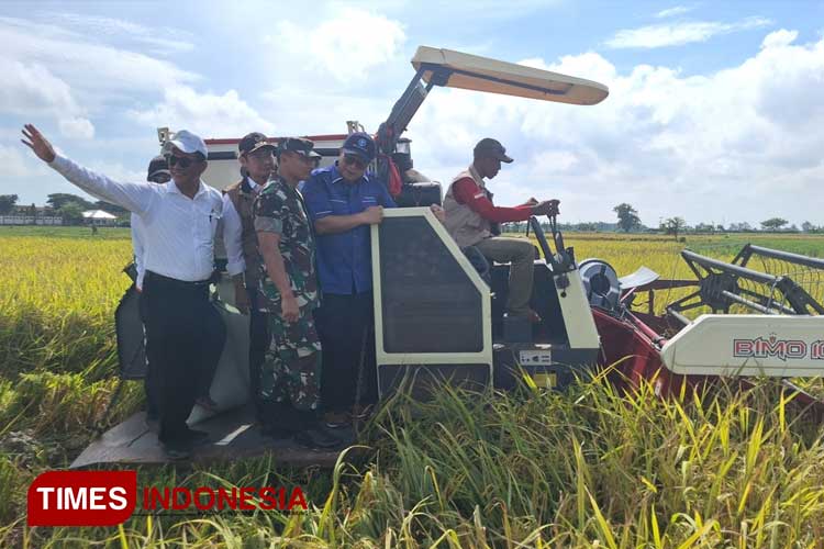 Menteri Pertanian, Andi Amran Sulaiman, saat panen padi dan peluncuran benih padi varietas unggul tibe IPB 9 G, di Desa Blawirejo, Kecamatan Kedungpringp, Kabupaten Lamongan, Jumat (19/4/2024). (FOTO: MFA Rohmatillah/ TIMES Indonesia)